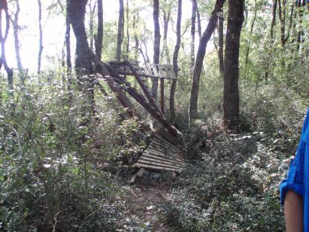 Cabane (enfin se qui reste)